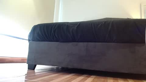 storm_hanks online show from 14, 1, 2026