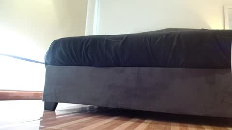 stormy  carter online show from 4, 11, 2025