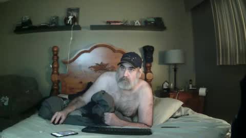Straightbear4you online show from 7, 3, 2025