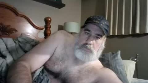 Straightbear4you online show from 30, 9, 2025