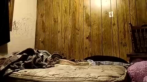 straighttoy online show from 14, 11, 2025