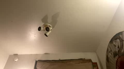 Snapshot of strangestag chatting on 27, 9, 2025 Stag online show from 27, 9, 2025