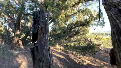 Snapshot of strangestag chatting on 6, 10, 2025 Stag online show from 6, 10, 2025