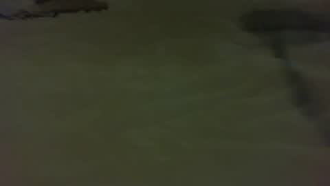 stratocatster online show from 11, 1, 2025