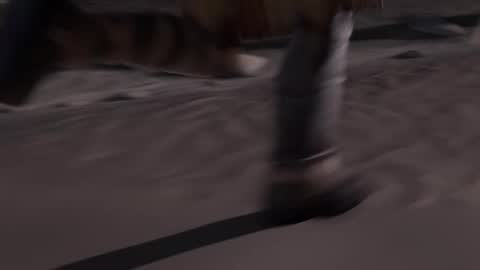 stream247_v2 online show from 15, 1, 2026