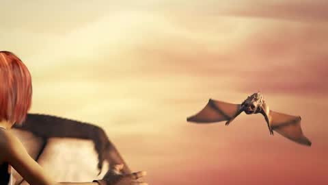 stream247_v2 online show from 15, 1, 2026