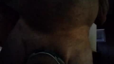 Snapshot of stuffamuffagus69 chatting on 16, 11, 2025 stuffamuffagus69 online show from 16, 11, 2025