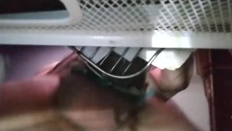 stuffamuffagus69 online show from 18, 11, 2025