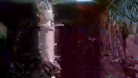 stuntcockdouble online show from 12, 10, 2025