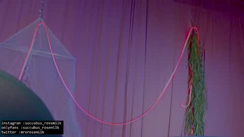 Succubus RoseMilk online show from 27, 1, 2025