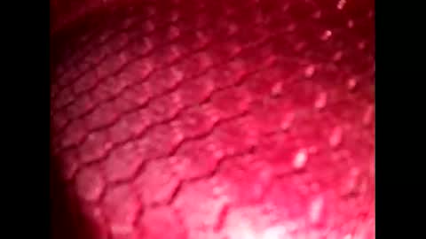 suck_me810555 online show from 19, 10, 2025