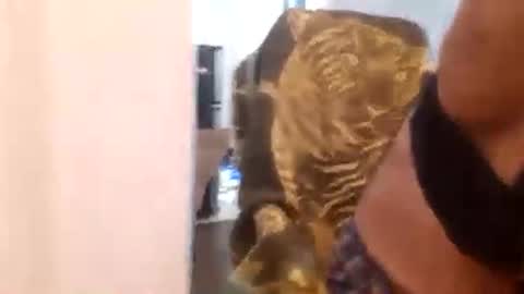 Cuteipie online show from 29, 12, 2024