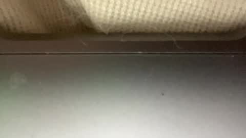 sugadee online show from 4, 2, 2025