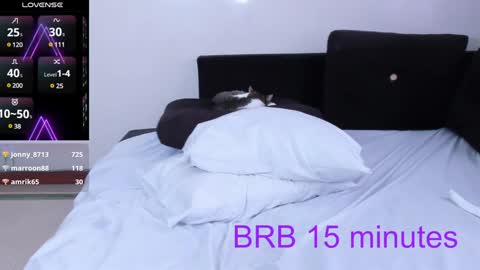 Nicolle  online show from 3, 1, 2025