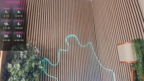 Snapshot of summer_lilac chatting on 2, 2, 2025 Nelly online show from 2, 2, 2025