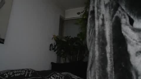 Snapshot of sundicksun chatting on 17, 12, 2024 s online show from 17, 12, 2024