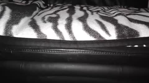 Snapshot of sundicksun chatting on 24, 12, 2024 s online show from 24, 12, 2024