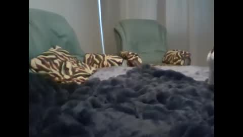 suni online show from 7, 3, 2025