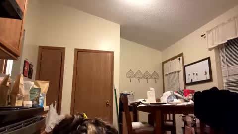 sunnbabe92485 online show from 11, 9, 2025