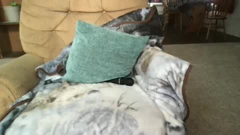 Sunny Clementine online show from 14, 3, 2026