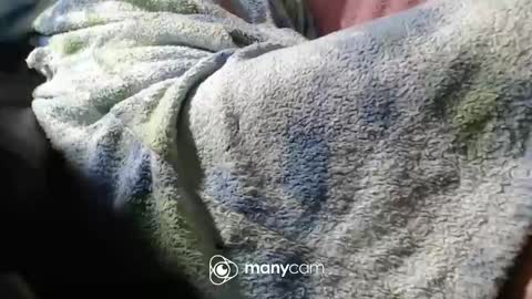 Snapshot of sunnybigboy88 chatting on 6, 11, 2025 sven online show from 6, 11, 2025