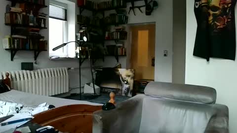 sunr1sa online show from 7, 12, 2024