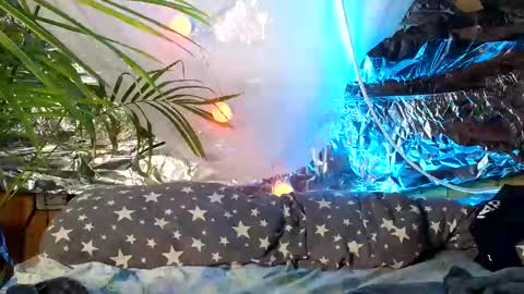 super jony and Marta GMT 1300-1800 every day online show from 9, 10, 2025