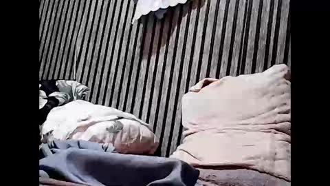 superclit4u online show from 11, 11, 2025