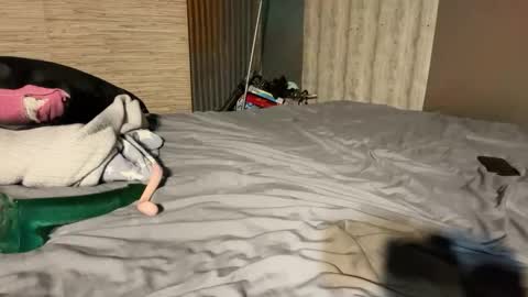 Stony online show from 8, 1, 2026