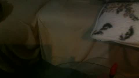 Snapshot of svenjamin9090 chatting on 13, 2, 2025 Druffen online show from 13, 2, 2025