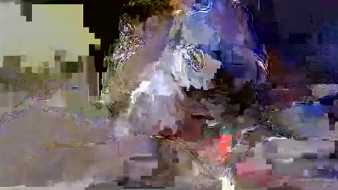 Silvia online show from 2, 2, 2026