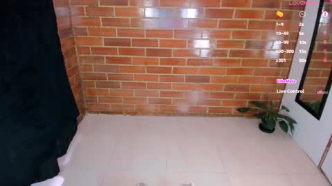 Stephanie online show from 8, 2, 2025