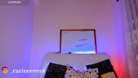 Snapshot of sweet_carine chatting on 17, 12, 2024 camil online show from 17, 12, 2024