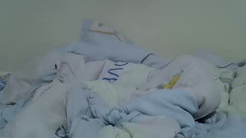 Princess shari online show from 10, 10, 2025