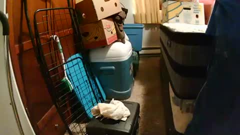 sweetcumfullofaglass online show from 12, 10, 2025
