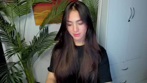 mallow online show from 29, 12, 2024
