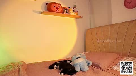 Venus online show from 17, 3, 2026