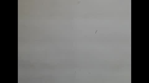 sweetnectarx online show from 8, 11, 2025