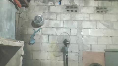 sweetnike online show from 6, 11, 2025