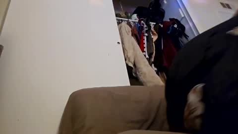 Snapshot of sweetp3ach29 chatting on 16, 12, 2024 sweetp3ach29 online show from 16, 12, 2024