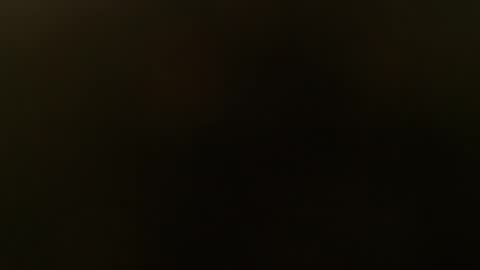 slim ivy online show from 26, 10, 2025