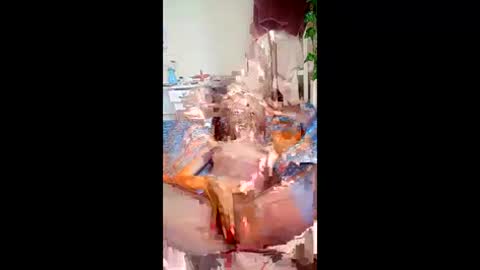 SweetSpot online show from 24, 3, 2026