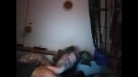 Snapshot of sweetsugar64 chatting on 8, 3, 2026 sweetsugar64 online show from 8, 3, 2026