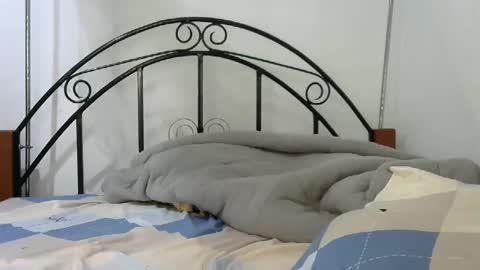 Snapshot of sweetvalariy chatting on 24, 1, 2025 sweetvalariy online show from 24, 1, 2025