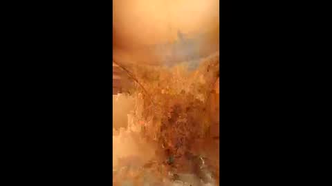 swiri123 online show from 28, 2, 2026