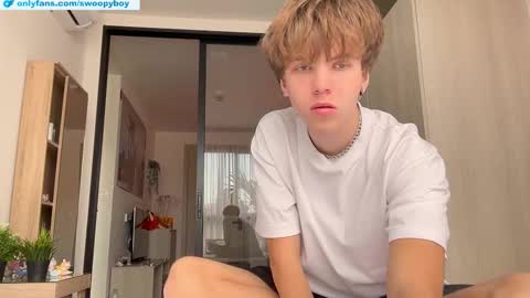 Snapshot of swoopyboy chatting on 4, 11, 2025 swoopyboy online show from 4, 11, 2025