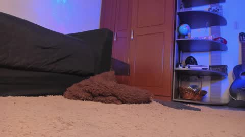 Syd online show from 18, 12, 2024