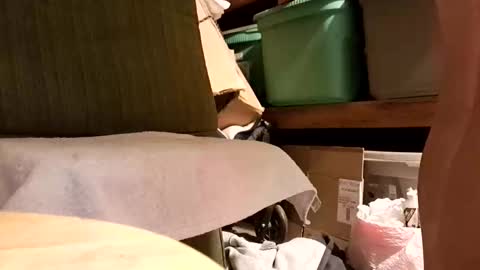 syevecrl online show from 14, 1, 2026