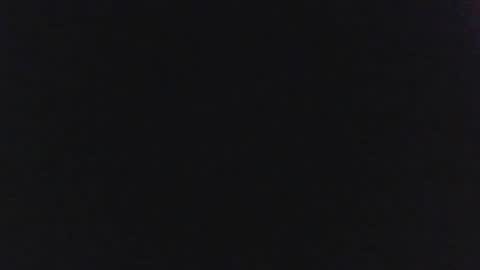 sylvertaurus1 online show from 31, 10, 2025