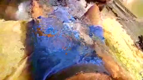 Snapshot of t2thaj1313 chatting on 5, 12, 2024 MR BIG online show from 5, 12, 2024